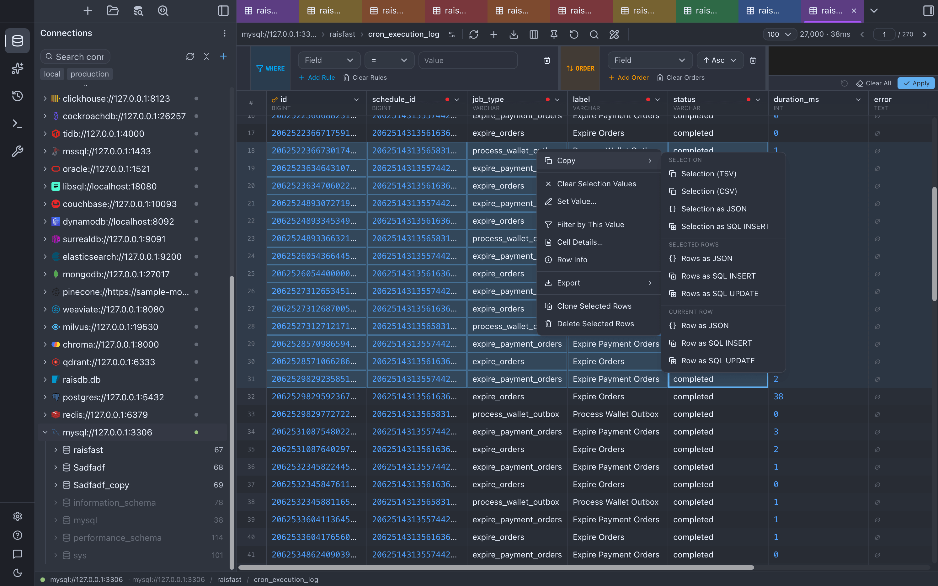 Section Menus — The RaisDB desktop client: a list of database connections on the left, and a data table view with a visual query builder on the right